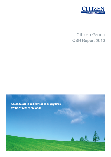 2013 Report Cover