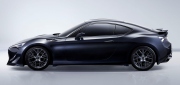 2011年ジュネーブショー展示車色