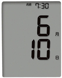 CC2006-53E