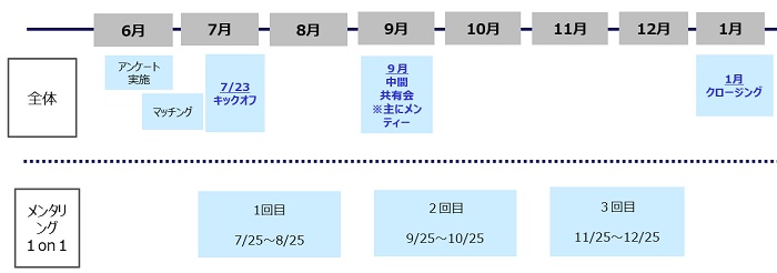実施期間 図