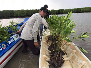 『Eco Tree ACTION』活動中の写真
