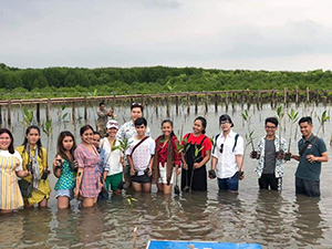 『Eco Tree ACTION』活動中の写真