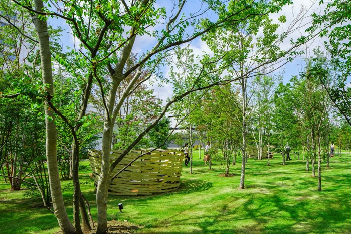 シチズンの森 親子体験会 森のイメージ画像