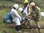 八王子館町緑地で保全活動（ボランティアクラブの活動スタート）